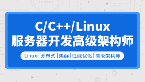零声 C/C++Linux服务器开发/高级架构师