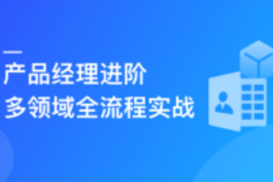 产品经理进阶， 多领域，多功能产品全流程实战（已完结）