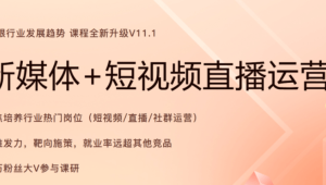 黑马-2024年11月版新媒体+短视频直播课程
