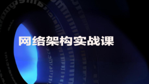 极客-网络架构实战课