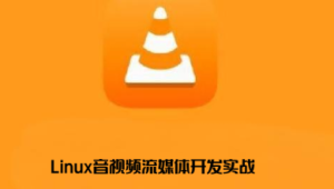 零声-Linux音视频流媒体开发实战TCP_UDP_RTSP_RTMP_P2P_WebRTC