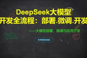 DeepSeek AI大模型开发全流程：部署.微调.开发